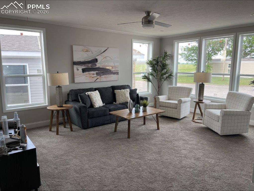 812 Iowa Avenue Colorado Springs CO 80909