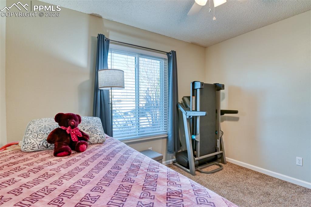 623 Hugh Martin Street Colorado Springs CO 80911