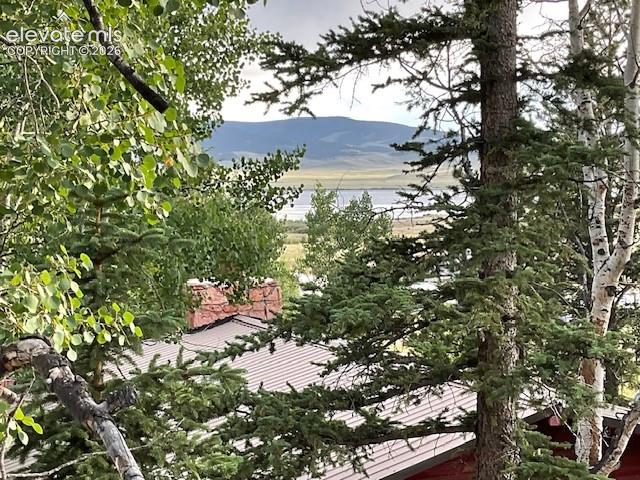 30 Brook Drive Lake George CO 80827