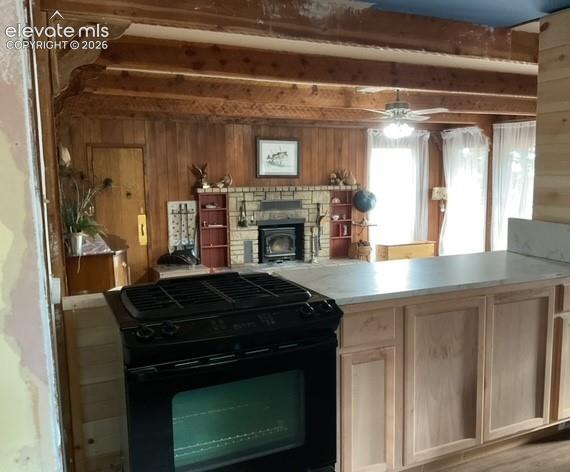30 Brook Drive Lake George CO 80827