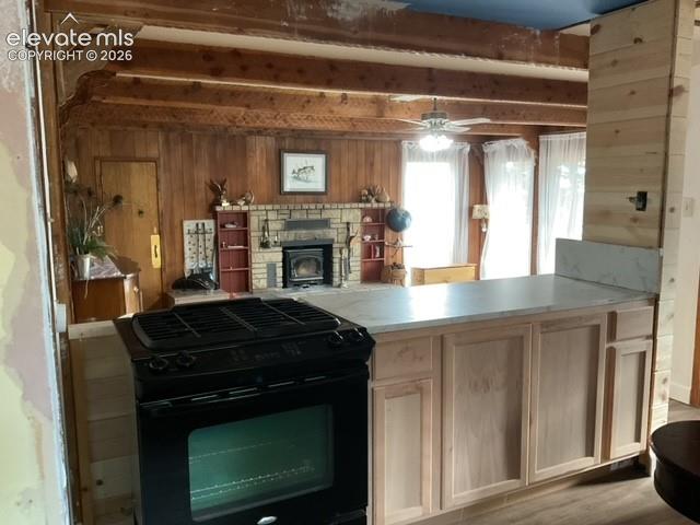 30 Brook Drive Lake George CO 80827