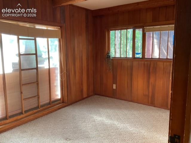 30 Brook Drive Lake George CO 80827