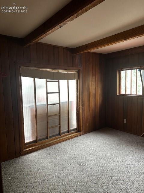 30 Brook Drive Lake George CO 80827