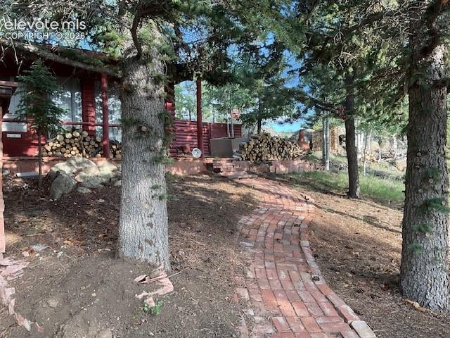 30 Brook Drive Lake George CO 80827