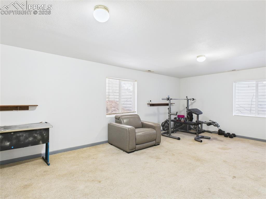 5169 Fennel Drive Colorado Springs CO 80911
