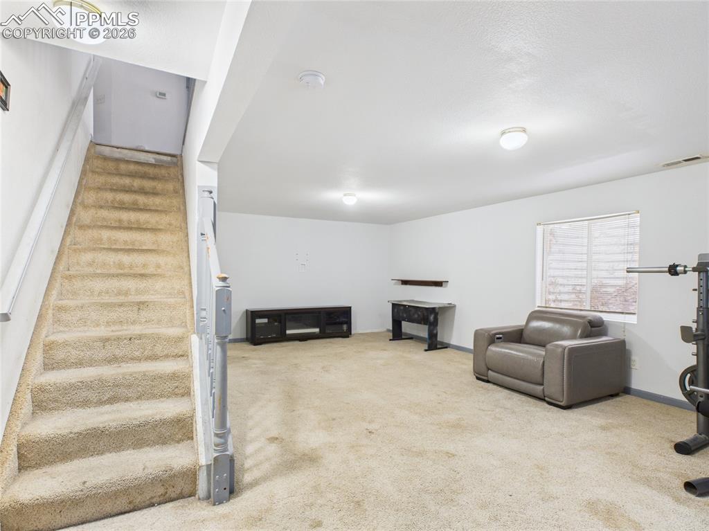 5169 Fennel Drive Colorado Springs CO 80911