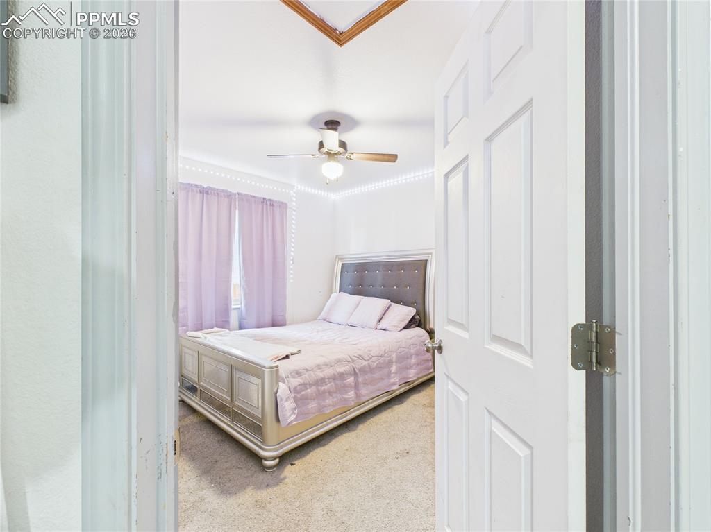 5169 Fennel Drive Colorado Springs CO 80911
