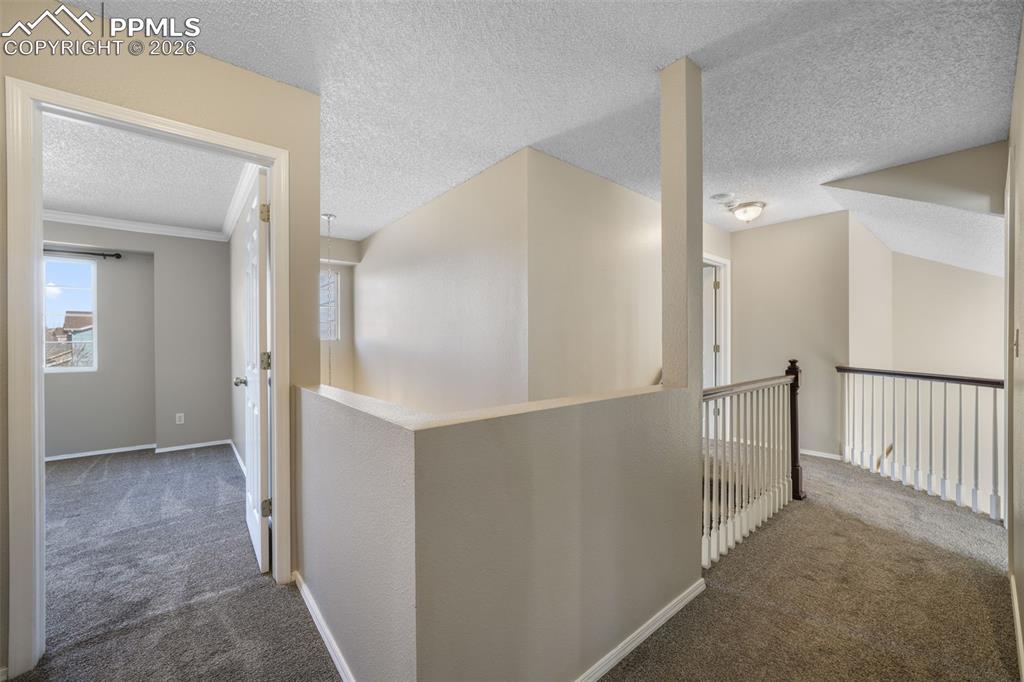 306 Oxbow Drive Monument CO 80132
