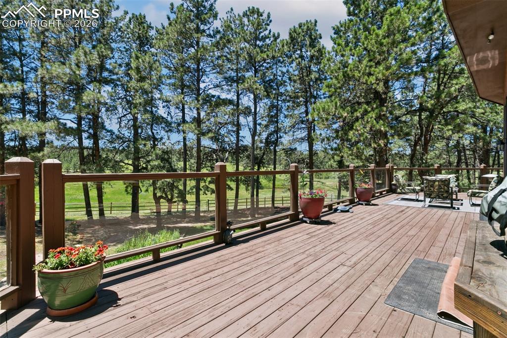 19902 W Elk Creek Drive Colorado Springs CO 80908