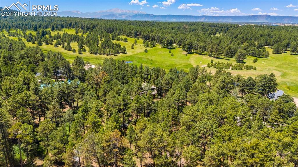 19902 W Elk Creek Drive Colorado Springs CO 80908