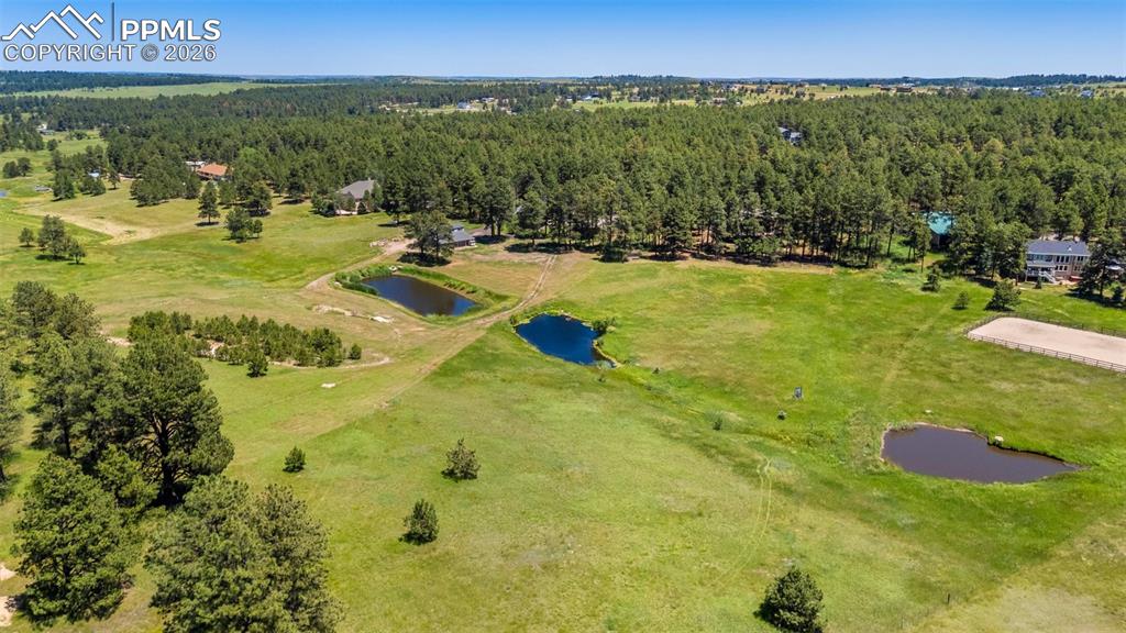 19902 W Elk Creek Drive Colorado Springs CO 80908