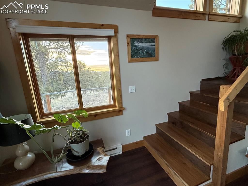 254 E Cobb Lane Guffey CO 80820