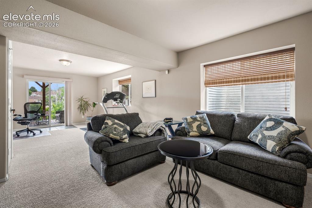 5655 Bridlespur Ridge Place Colorado Springs CO 80918