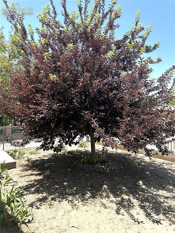 1016 Beulah Avenue Pueblo CO 81004