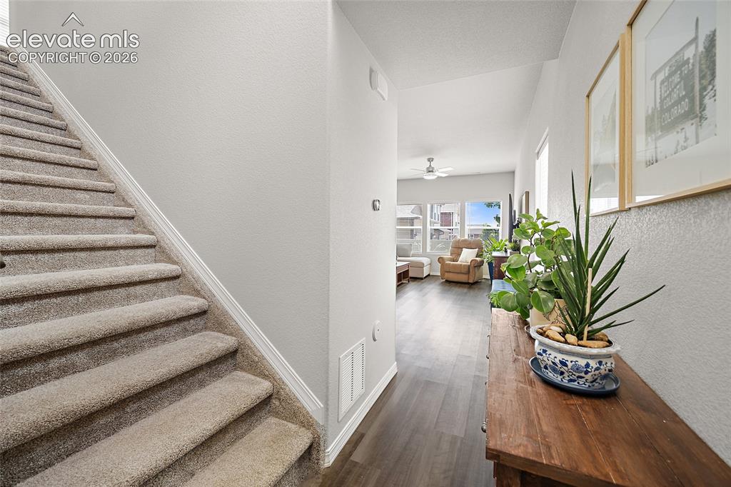 8145 Talc Drive Colorado Springs CO 80938