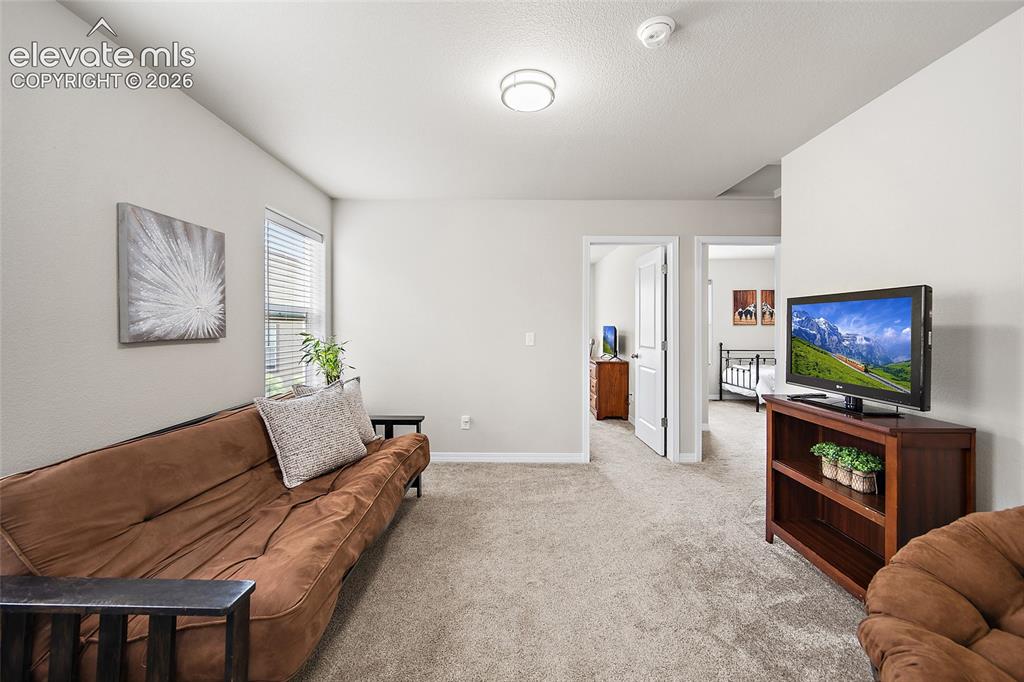 8145 Talc Drive Colorado Springs CO 80938