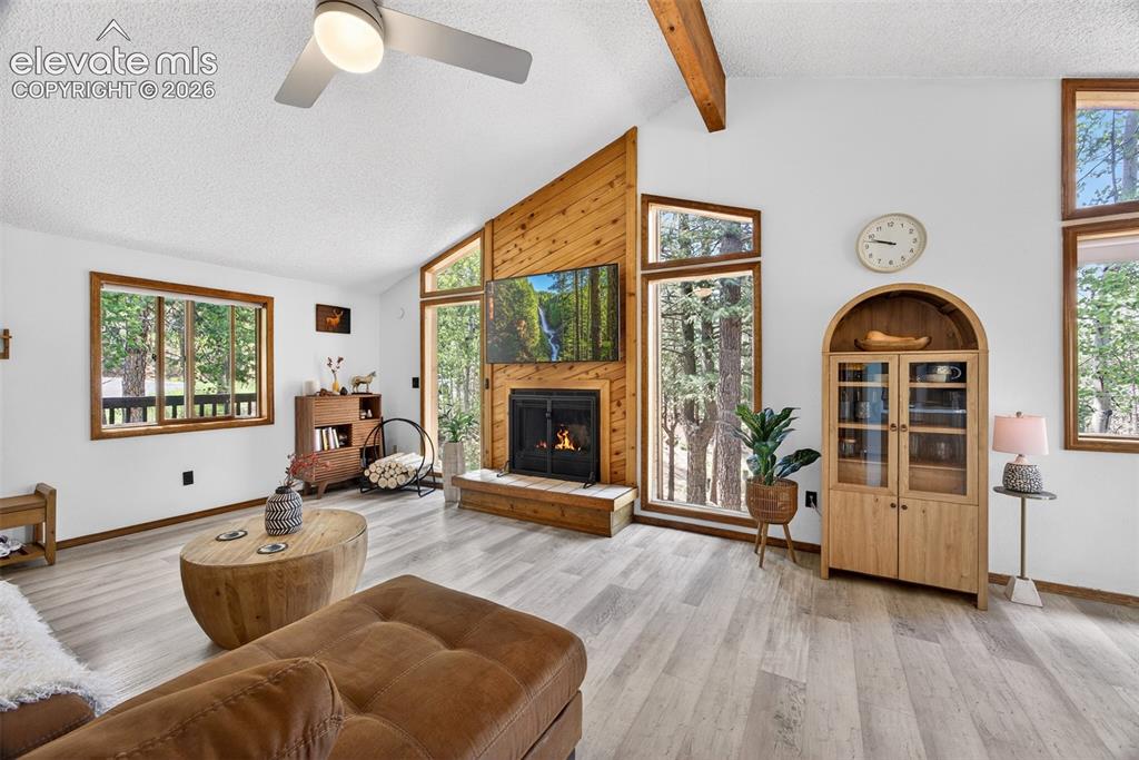 1340 Forest Edge Road Woodland Park CO 80863