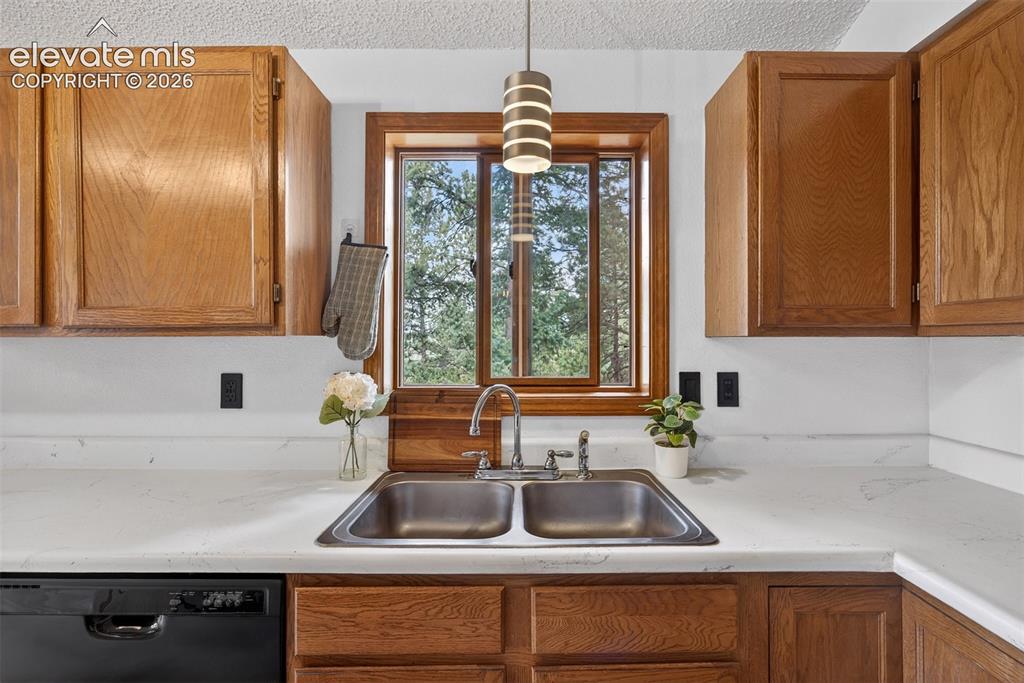 1340 Forest Edge Road Woodland Park CO 80863