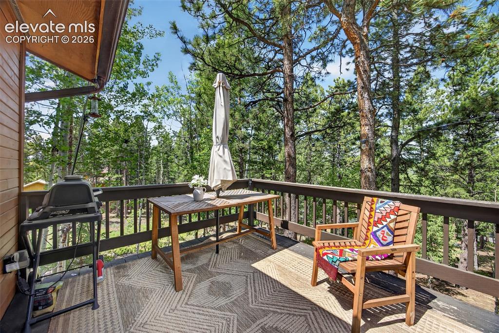 1340 Forest Edge Road Woodland Park CO 80863