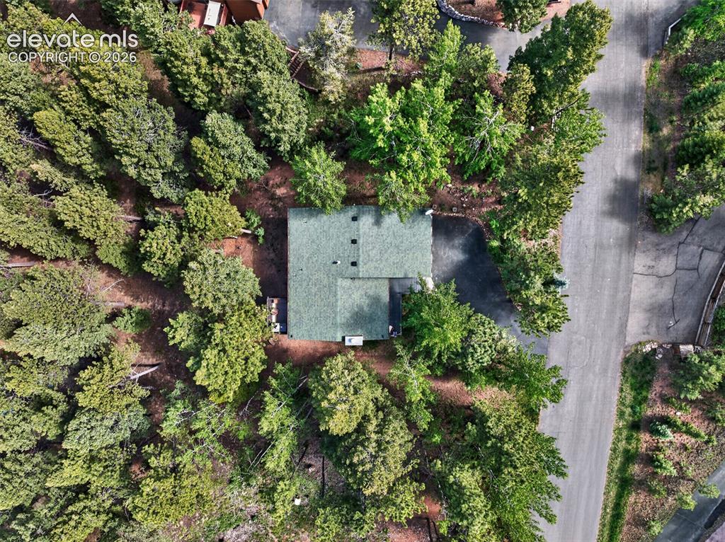 1340 Forest Edge Road Woodland Park CO 80863