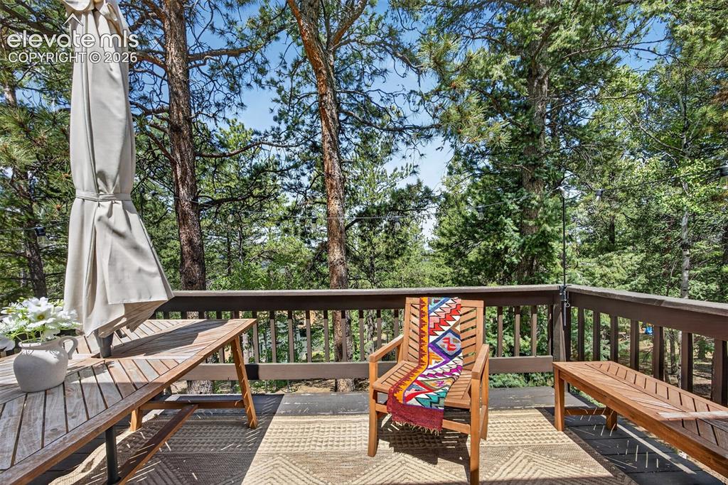 1340 Forest Edge Road Woodland Park CO 80863