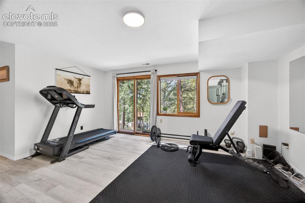 1340 Forest Edge Road Woodland Park CO 80863