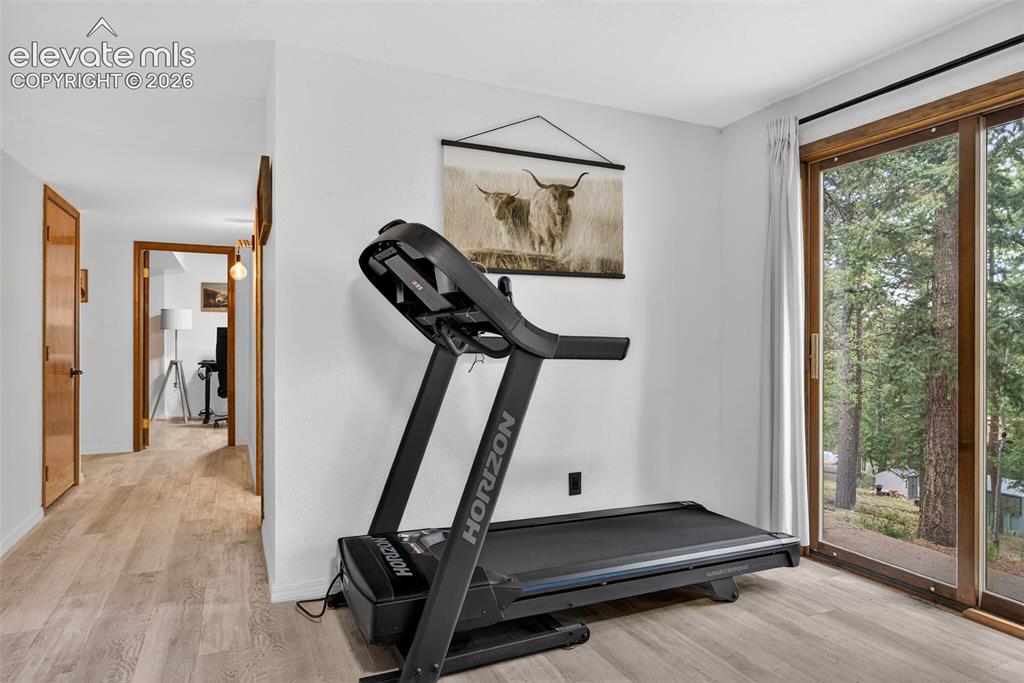 1340 Forest Edge Road Woodland Park CO 80863