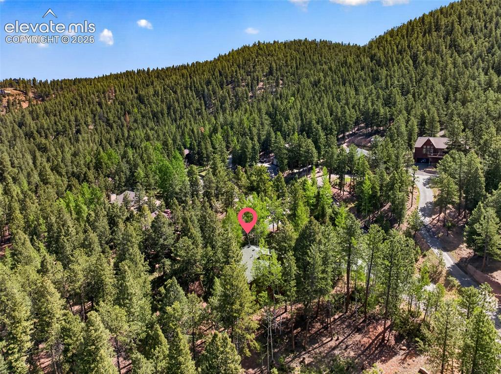 1340 Forest Edge Road Woodland Park CO 80863