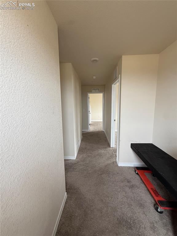 4626 High Springs Court Colorado Springs CO 80917