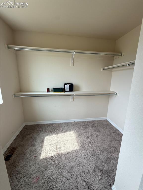 4626 High Springs Court Colorado Springs CO 80917