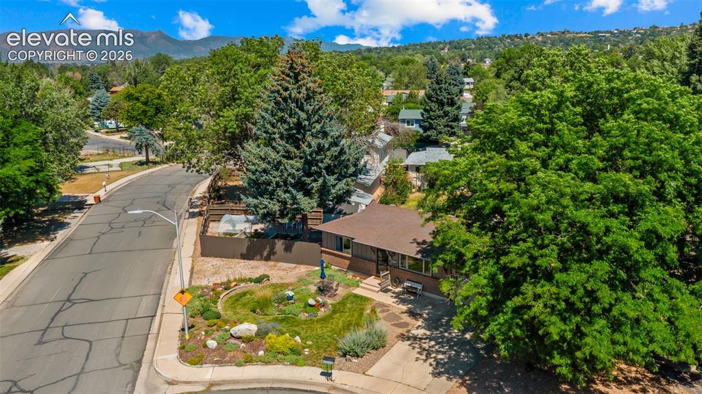3848 Fetlock Circle Colorado Springs CO 80918