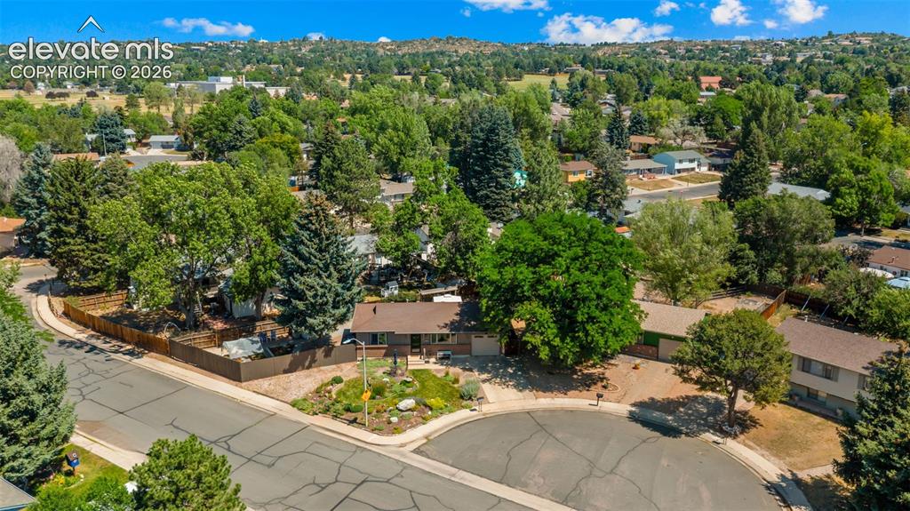 3848 Fetlock Circle Colorado Springs CO 80918