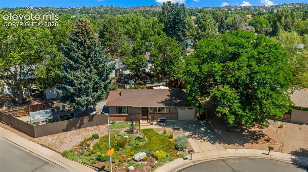 3848 Fetlock Circle Colorado Springs CO 80918