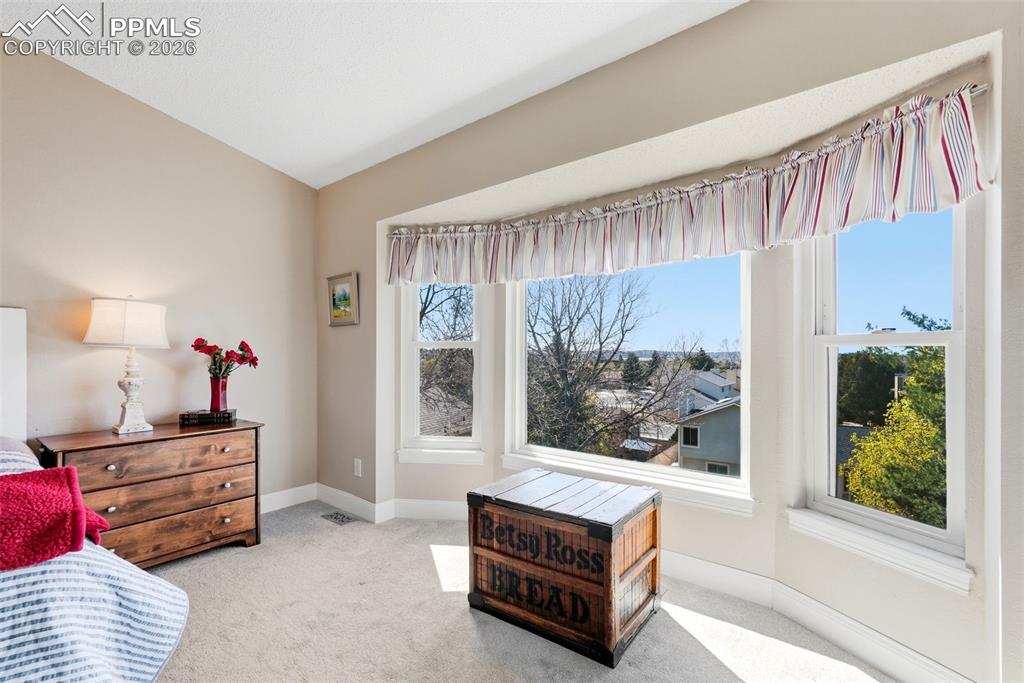 3370 Windjammer Drive Colorado Springs CO 80920