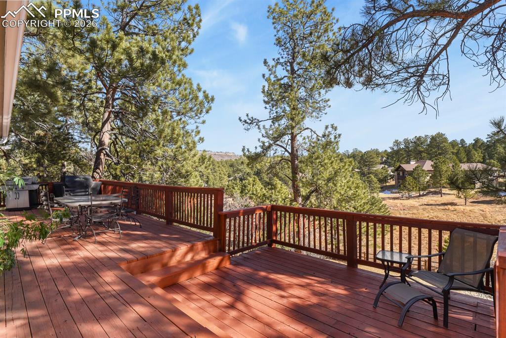 730 Tenderfoot Drive Larkspur CO 80118