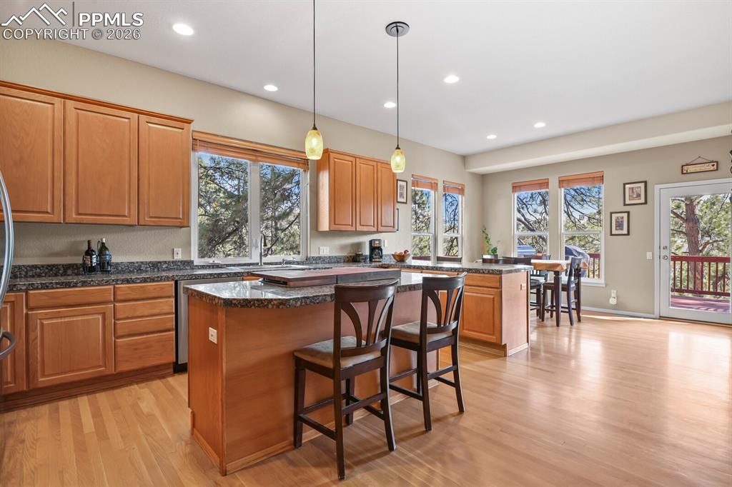 730 Tenderfoot Drive Larkspur CO 80118