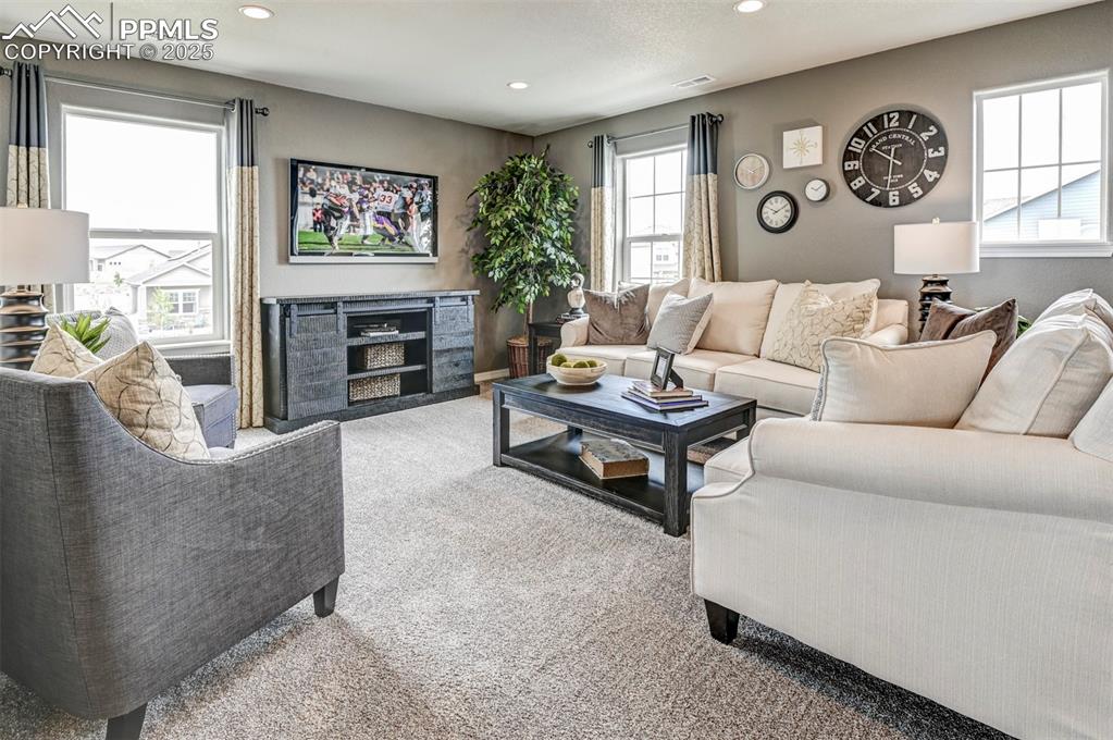 6017 Miller Run Place Colorado Springs CO 80924