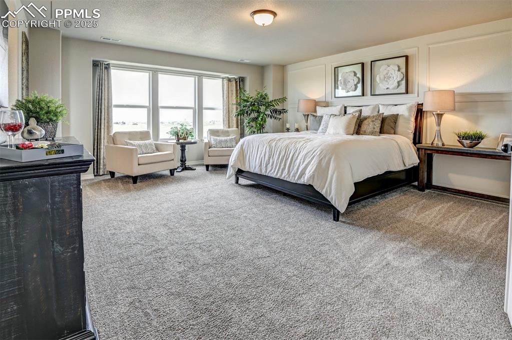 6017 Miller Run Place Colorado Springs CO 80924