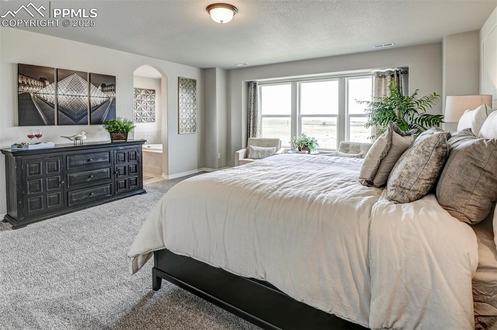 6017 Miller Run Place Colorado Springs CO 80924