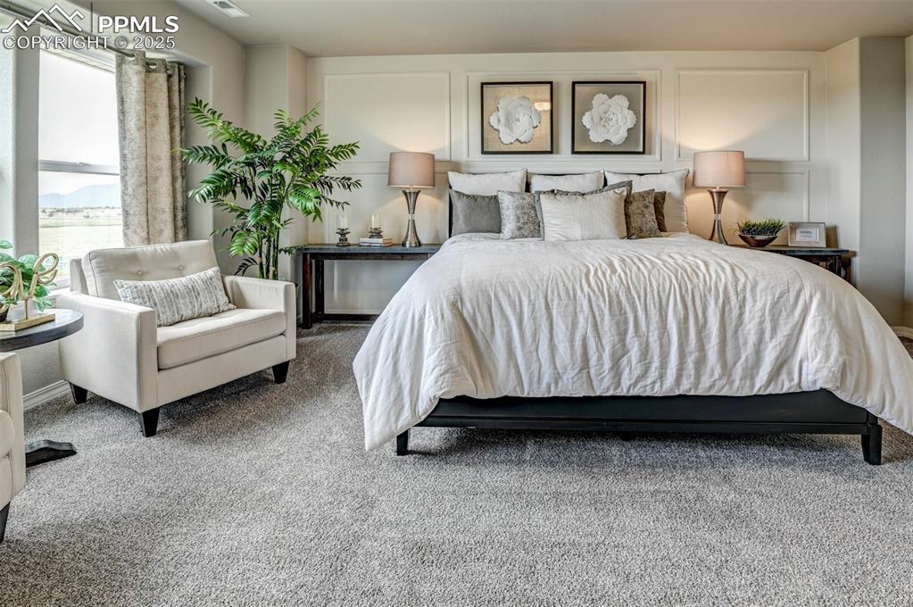 6017 Miller Run Place Colorado Springs CO 80924