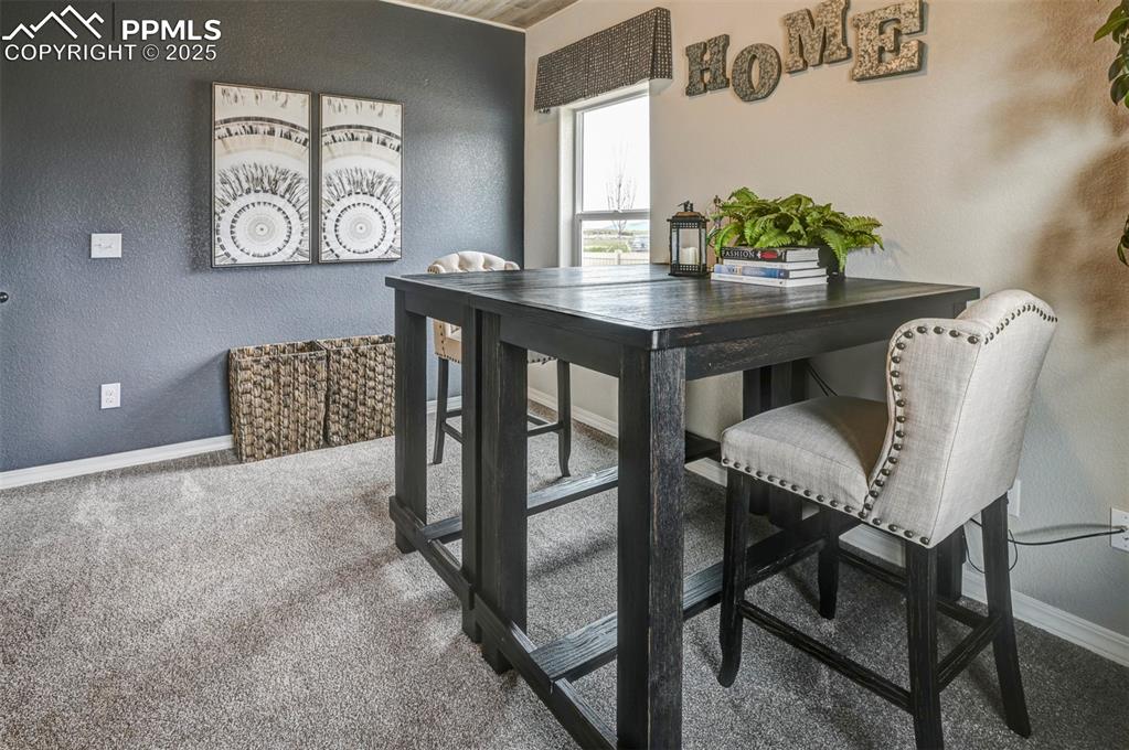 6017 Miller Run Place Colorado Springs CO 80924