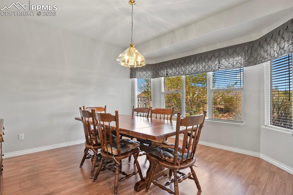 1355 Almagre Peak Drive Colorado Springs CO 80921