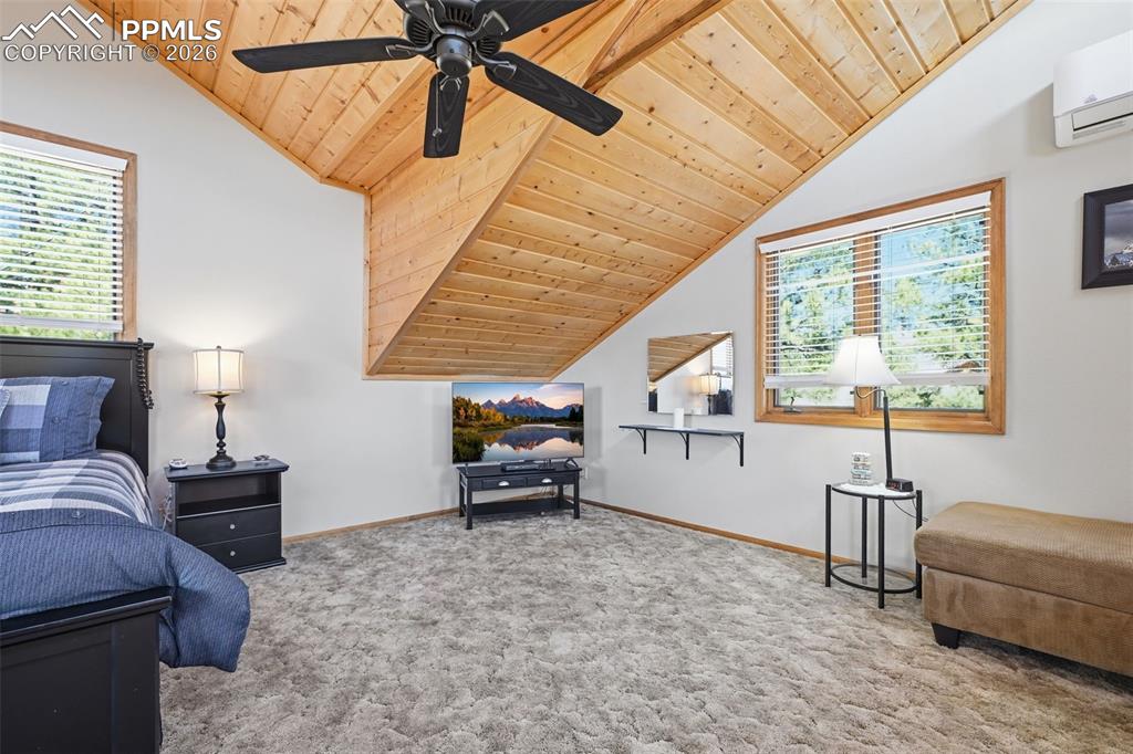 28 Signalman Lane Lake George CO 80827
