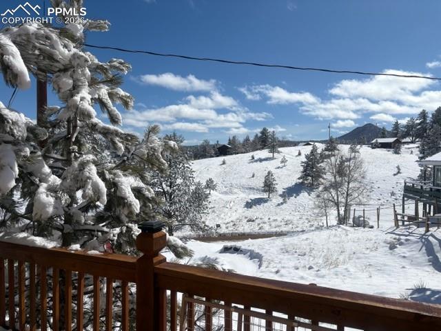 28 Signalman Lane Lake George CO 80827