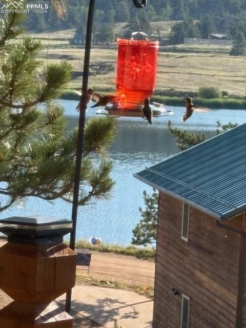 28 Signalman Lane Lake George CO 80827