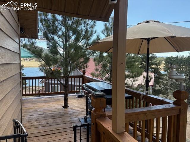 28 Signalman Lane Lake George CO 80827