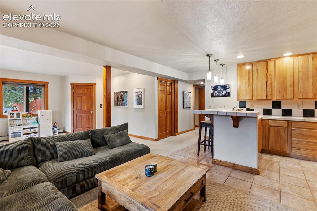 1280 Chippewa Trail Woodland Park CO 80863
