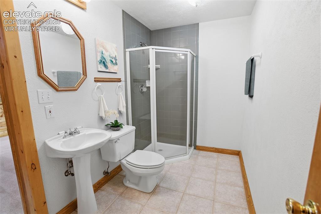 355 Maroon Lake Circle Divide CO 80814