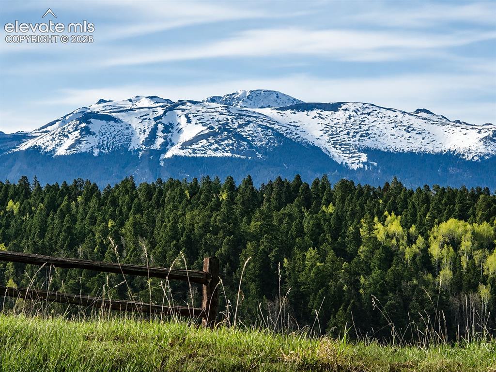 355 Maroon Lake Circle Divide CO 80814