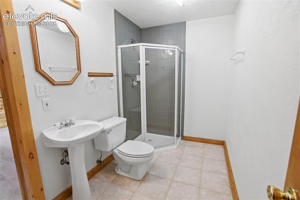 355 Maroon Lake Circle Divide CO 80814